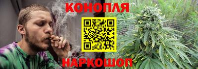 прущие грибы Славянск-на-Кубани