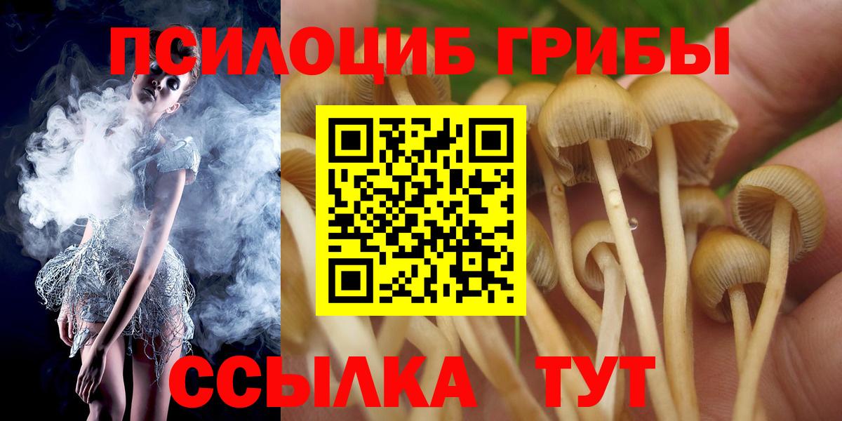 Галлюциногенные грибы Psilocybe  Вход с VPN  Рославль  где можно купить   Галлюциногенные грибы MAGIC MUSHROOMS 